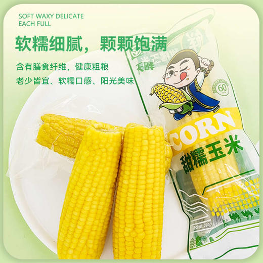 【黄糯】天畔新疆黄糯玉米 甜糯玉米 绿色食品认证 商品图3