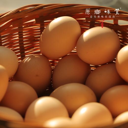 生态土鸡蛋（基地直发-顺丰包邮）|  30枚/盒，来自山东济南，生产者：田海平【合作生产，公平贸易】 商品图12
