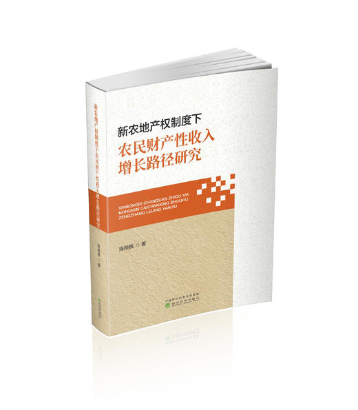 新农地产权制度下农民财产性收入增长路径研究 商品图0