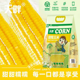 【黄糯】天畔新疆黄糯玉米 甜糯玉米 绿色食品认证