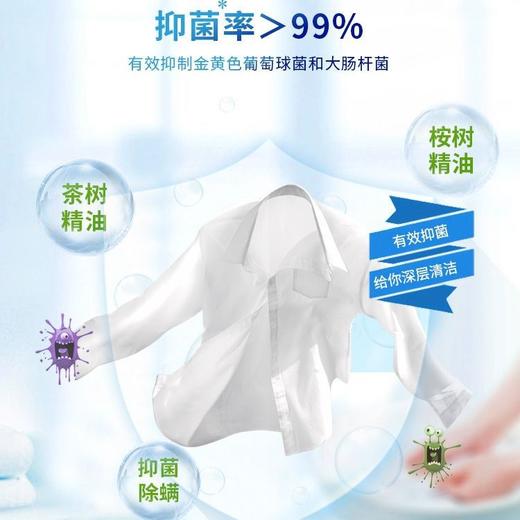 【甄选】白猫冷水速洁无磷洗衣粉3kg 商品图1