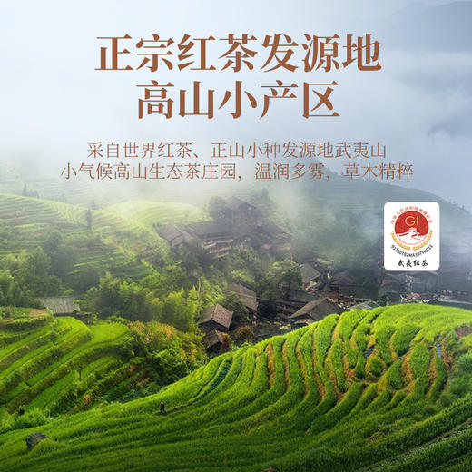 【2盒送试泡】华祥庄园-颂茗特级武夷山正山小种60g*2盒 商品图3