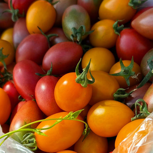【分仓直发包邮】多彩小番茄3斤天地盖礼盒（随机3-5种小番茄混装） 商品图7