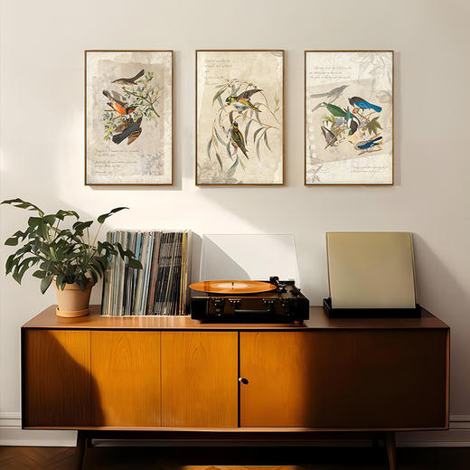 多喜爱布艺装饰画 高级复古风格飞鸟集系列 商品图0