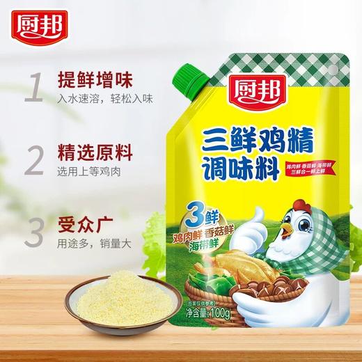 【甄选】厨邦三鲜鸡精100g 商品图1