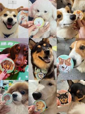 【宠物周边】宠物肖像徽章/冰箱贴定制（定制请联系客服）