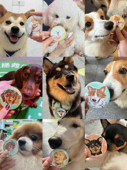 【宠物周边】宠物肖像徽章/冰箱贴定制（定制请联系客服） 商品图0