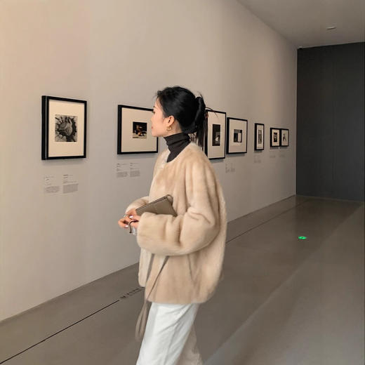雀说仿水貂皮草外套女小个子圆领毛毛大衣复合皮毛一体AL2306 商品图3