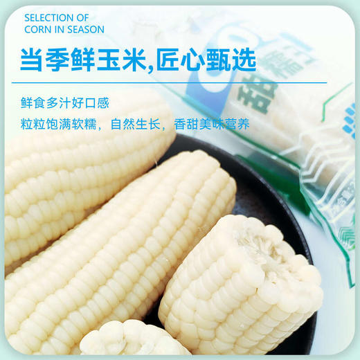 【白糯】天畔新疆白糯玉米 甜糯玉米 绿色食品认证 商品图4