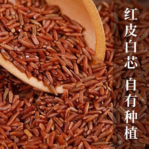地理标志产品 健康营养洋县红米2公斤  来自朱鹮之乡 放心安全 商品图1