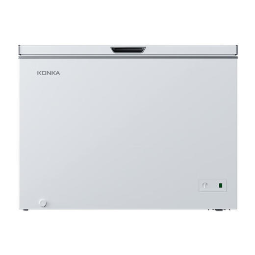 303升智能减霜单温家用商用冷柜 BG30CD 商品图9