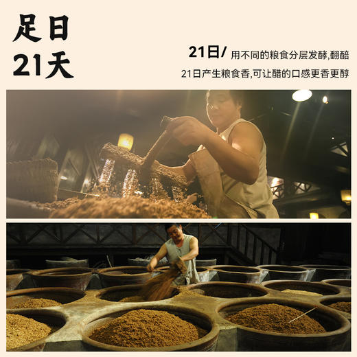 恒顺 镇江香醋 550ml/瓶 商品图2