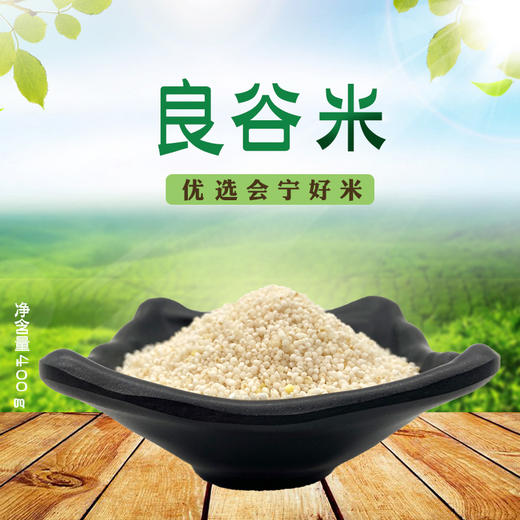甘肃会宁 良谷米400g*3袋  【木兰优选】 商品图1