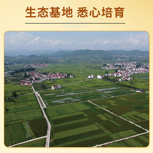 地理标志产品 健康营养洋县红米2公斤  来自朱鹮之乡 放心安全 商品图3