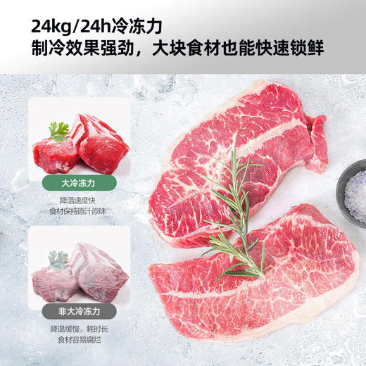 303升智能减霜单温家用商用冷柜 BG30CD 商品图6