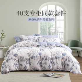 雅芳婷摩登丝五件套专柜同款套件被套薄被芯床笠枕套一对连芯扣