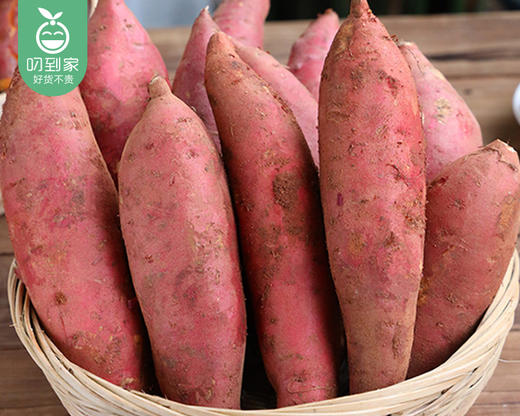 地瓜皇后·六鳌沙地红蜜薯-精选（净重约1.5kg/袋 6-8根） 商品图4