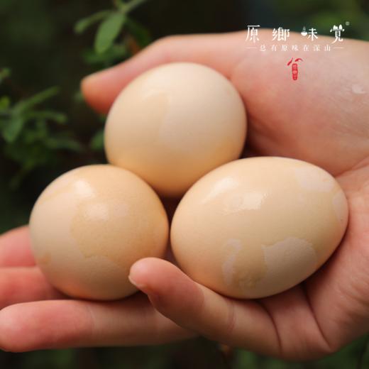 生态土鸡蛋（基地直发-顺丰包邮）|  30枚/盒，来自山东济南，生产者：田海平【合作生产，公平贸易】 商品图7