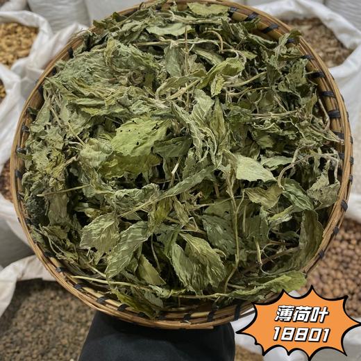 薄荷 常用规格 云南本地品种  薄荷叶  薄荷茶 商品图2