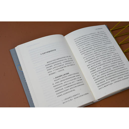 法治在中国 卓泽渊著 法律出版社 商品图3