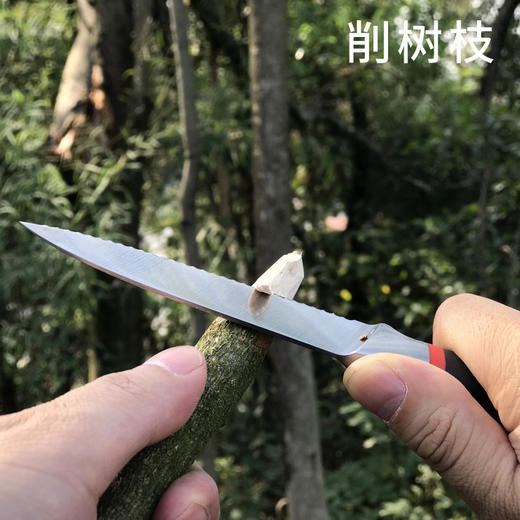 【新年货】千锤百炼锻好刀 | 拿铁合手文武厨房用具/锻打刀具系列 菜刀 文武双刀/切片刀/斩切刀/厨房多功能剪刀/多用水果刀 耐用防锈菜刀 4个规格入 商品图9