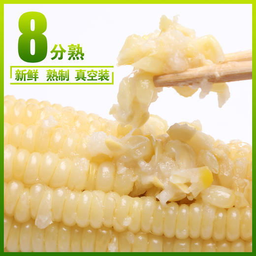 黑龙江 真空白糯玉米（260g/穗）10穗/箱  【木兰优选】 商品图6
