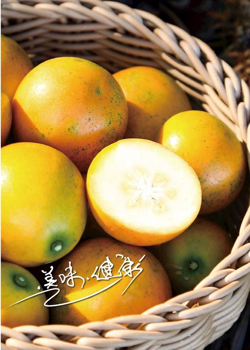 广西南宁 滑皮金桔 新鲜当季水果 基地直发 商品图0