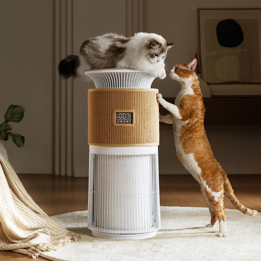 P300贝昂宠物净化器 商品图1