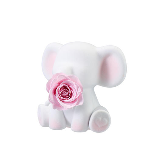 ROSEONLY诺誓 永生玫瑰 公仔系列 倾心象 Baby宝贝系列 送朋友 情人节礼物 商品图4