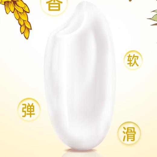 金龙鱼丰收金穗稻花香5kg 商品图1
