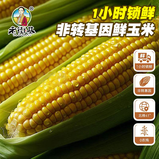 黑龙江肇州糯玉米180g (10穗/袋)   【木兰优选】 商品图4