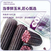 【黑糯】天畔新疆黑糯玉米 甜糯玉米 绿色食品认证 商品缩略图4
