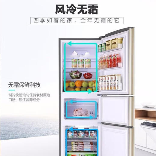 容声221升 家用节能风冷无霜家用出租房宿舍小型冰箱 BCD-221WKD2NE时尚沐光金 商品图1