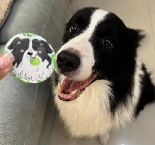 【宠物周边】宠物肖像徽章/冰箱贴定制（定制请联系客服） 商品图3