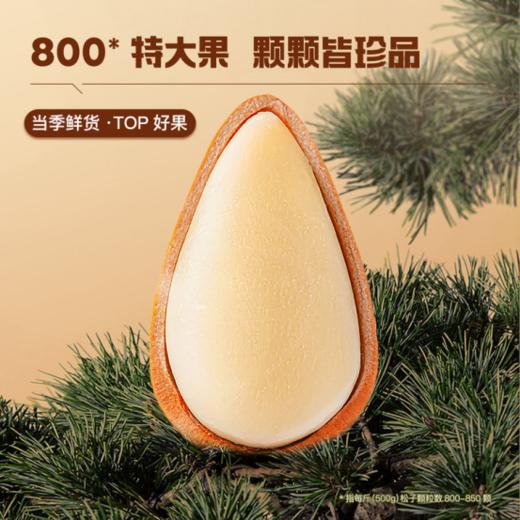 🔥【童谣说非油炸开口大松子】一种配料，🌸只有大松子 🥰0糖、0盐、没有任何添加，😎配料表只有松子 ✅源自吉林长白山的当季鲜采野生大松子 商品图2