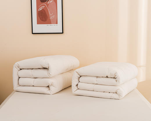 多喜爱美眠康臻萃大豆暖芯冬被【30%大豆纤维（黑豆）+70%超细纤维】【A类抑菌守护】 商品图3