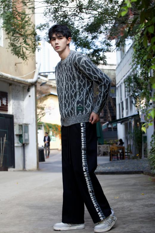 W342143201时尚绞花针织衫 商品图3