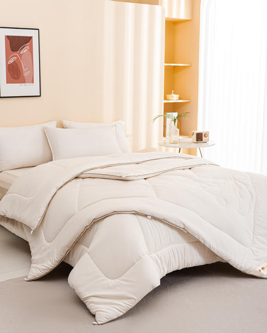 多喜爱美眠康臻萃大豆暖芯冬被【30%大豆纤维（黑豆）+70%超细纤维】【A类抑菌守护】 商品图1