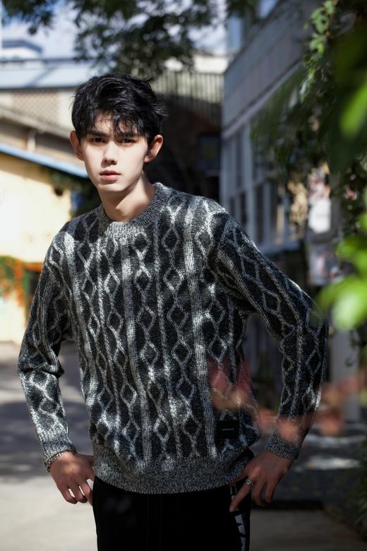 W342143201时尚绞花针织衫 商品图2