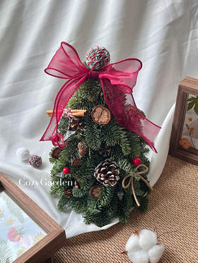 【博主同款】一键get小红书博主同款圣诞树🎄