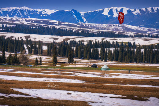 寻春伊犁越野车行摄7天【精品小团12人封顶】五色花海季 商品图10