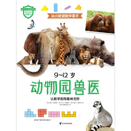 《从小就做数学高手》全12册  9-12岁   涵盖6大知识板块，内含600多道数学谜题和趣味活动 商品图4