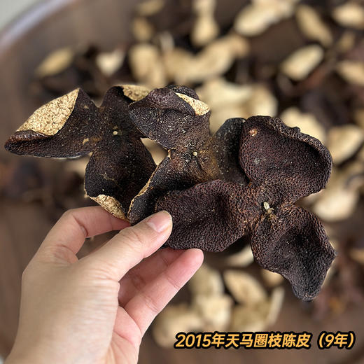 【7天内发货】【娘娘甄选】新会陈皮·一线产区·2000年东甲老树圈枝陈皮24年/5年·9年天马/14年梅江·甘香醇厚大红皮·不退不换·本品不参与满赠满减 商品图4