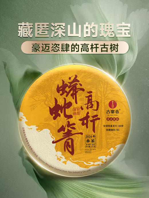 【最后2饼】【蟒蛇箐高杆】2024年头春头采高杆古树诠释易武蕞野韵味 野性入骨；能把茶喝的像喝汽水一样打嗝 357克/饼 商品图0