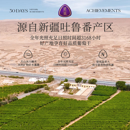 觅菓 AA+蓝宝石葡萄干 368g 商品图3