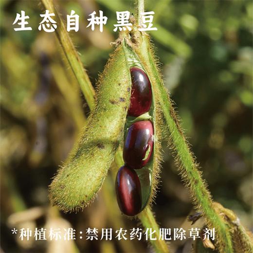 香酥炒黑豆 | 235g 商品图2