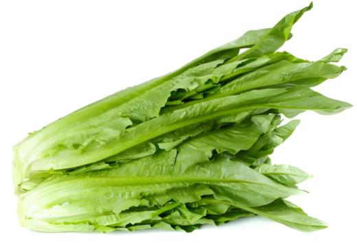 【新鲜净菜】成品油麦菜  300g/袋 商品图0