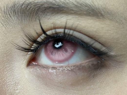 illusionDuck半年抛--绒迹海蝶 商品图11