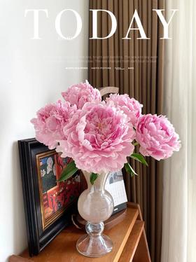 新西兰进口枕边语芍药花5支