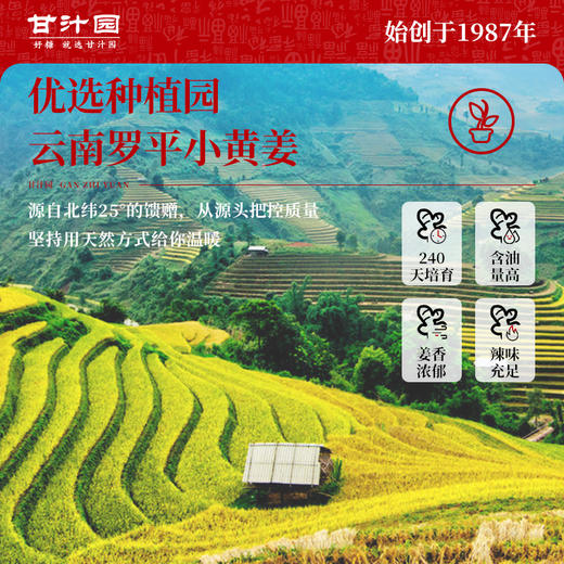 【特惠17.9】甘汁园原味姜汤240g【保质期至2026-11-08
】-专享价 商品图2